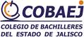 logo-COBAEJ-H-nvo2.jpg